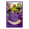 Starter Nawozowy do sadzenia i przesadzania roślin 5w1 Compo