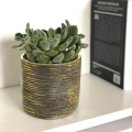 Polnix doniczka ceramiczna Rustic - Cylinder do salonu