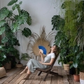 Monstera Monkey Mask C2 duża, monstera dziurawa, rośliny doniczkowe