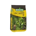 Podłoże do juk, dracen i palm Biovita