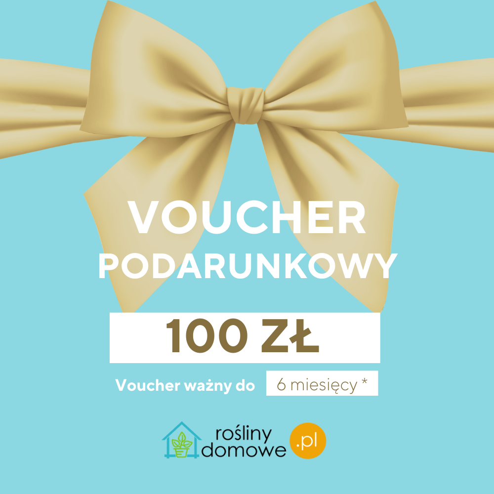 Voucher na rośliny Bon podarunkowy 100 zł
