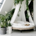 Epipremnum Marble Queen rośliny do sypialni