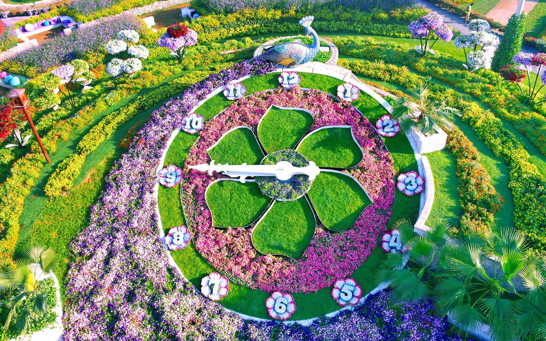 Dubajski Ogród Cudów - Dubai Miracle Garden
