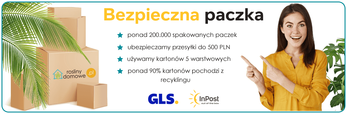 Przesylka