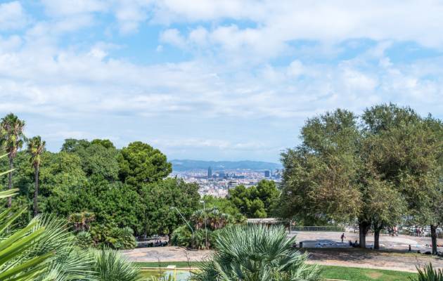 Ogrody botaniczne na świecie - Barcelona